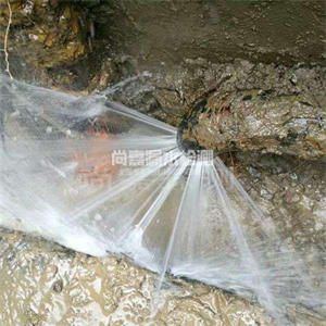 黄潭镇消防管道漏水检测